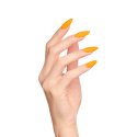 Indigonails - Belgïe - Gel Polish - Fifarafa