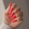 Indigonails België - Burnt Orange gel polish