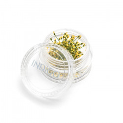 Gedroogde bloemen Geel