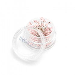 Fleurs Séchées Rose