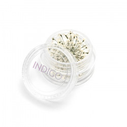 Gedroogde Bloemen Wit