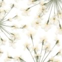 Dried Flowers Wit