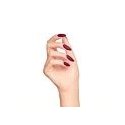 Bed of Roses Gel Polish 7ml