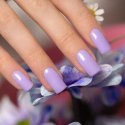 Amore Fiore Gel Polish | Collection Spring 2025 | Indigo Nails België