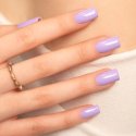 Amore Fiore Gel Polish | Collection Spring 2025 | Indigo Nails België