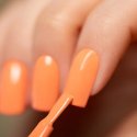 24 Carrots Gel Polish | Collection Spring 2025 | Indigo Nails België