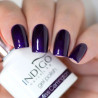 Miss Carrington Gel Polish 7ml Miss Carrington Gel Polish 7ml