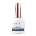 Bluexury Gel Polish 7ml