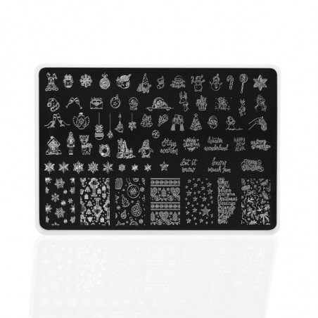 Winter 1 Indigo Stamping Plate