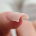 Nude N°1 - Shape Genius 15g