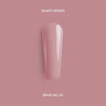 Beige N°1 - Shape Genius 15g