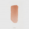 Coral - Roselighter Cream Blush Hedonista