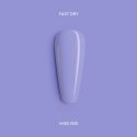 Miss Iris Fast Dry Nail Polish