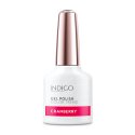 Cranberry Gel Polish 7ml