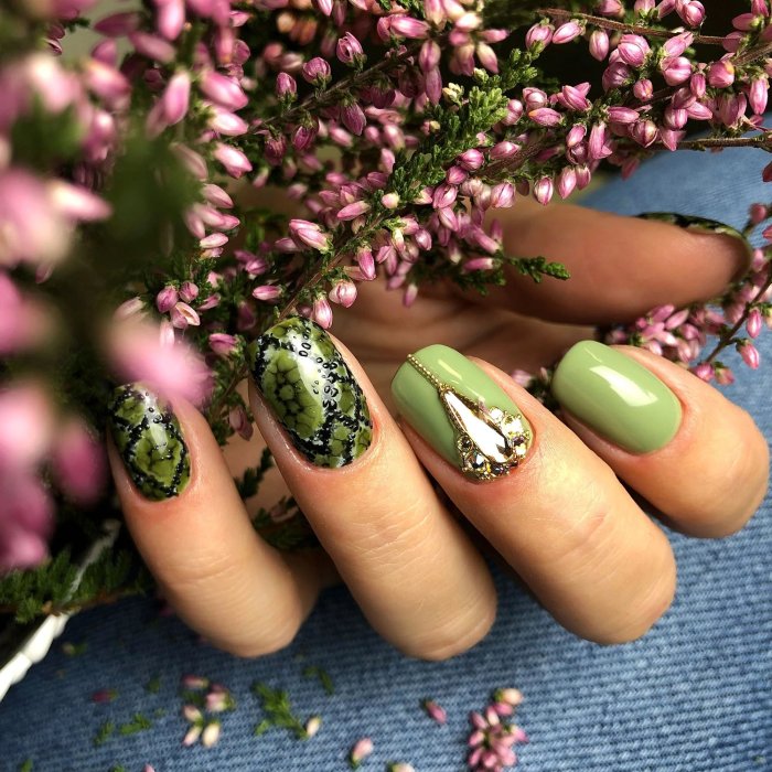 Taki Khaki Gel polish 7 ml