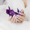 Gel polish transparent the one Gel polish transparent the one