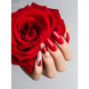Gel polish Julia 7 ml Gel polish Julia 7 ml