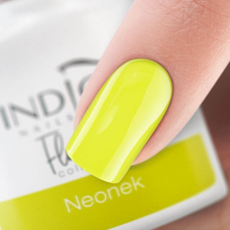 Neonek Gel Polish